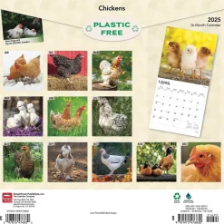 BrownTrout 2025 Chickens 12" x 24" Monthly Square Wall Calendar, (9781975476830) Online