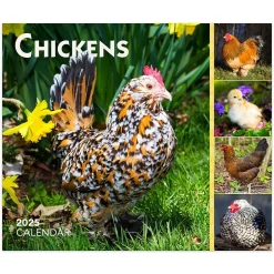 BrownTrout 2025 Chickens 6" x 5" Day-to-Day Desktop Box Calendar (9781975483425) Hot