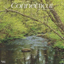 BrownTrout 2025 Connecticut Wild & Scenic 12" x 24" Monthly Square Wall Calendar (9781975474720) Outlet