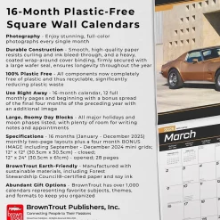 BrownTrout 2025 Corvette 12