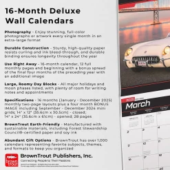 BrownTrout 2025 Corvette 14