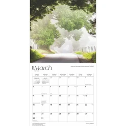 BrownTrout 2025 Country Roads 12