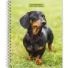 BrownTrout 2025 Dachshunds 6" x 7.75" Weekly Engagement Planner, Paper Cover, Multicolored (9781975473174) Clearance