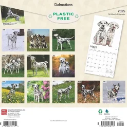 BrownTrout 2025 Dalmatians 12" x 24" Monthly Square Wall Calendar, (9781975478117) Hot