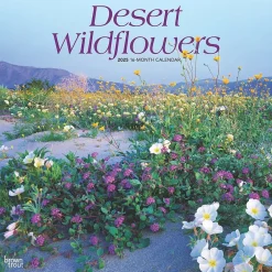 BrownTrout 2025 Desert Wildflowers 12" x 12" Monthly Wall Calendar (9781975476014) Discount