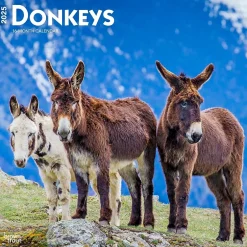BrownTrout 2025 Donkeys 12" x 24" Monthly Square Wall Calendar, (9781975476946) New
