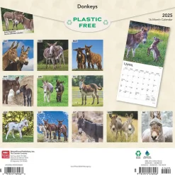 BrownTrout 2025 Donkeys 12" x 24" Monthly Square Wall Calendar, (9781975476946) New