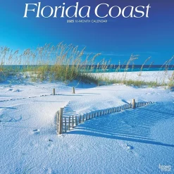 BrownTrout 2025 Florida Coast 12" x 12" Monthly Wall Calendar (9781975474799) Clearance