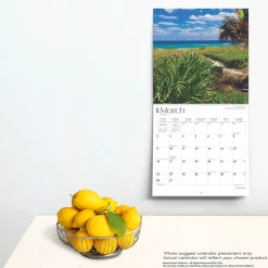 BrownTrout 2025 Florida Coast 12