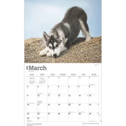 BrownTrout 2025 For the Love of Siberian Huskies 7