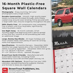 BrownTrout 2025 Ford Bronco 12