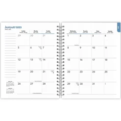 BrownTrout 2025 French Bulldogs 6