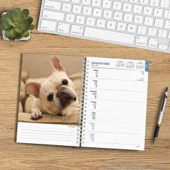 BrownTrout 2025 French Bulldogs 6