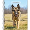 BrownTrout 2025 German Shepherds 6" x 7.75" Weekly Engagement Planner, Paper Cover, Multicolored (9781975473143) Best
