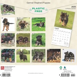 BrownTrout 2025 German Shepherd Puppies 12" x 12" Monthly Square Wall Calendar (9781975477004) Outlet