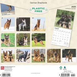 BrownTrout 2025 German Shepherds 12" x 12" Monthly Square Wall Calendar (9781975477011) New