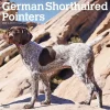 BrownTrout 2025 German Shorthaired Pointers 12" x 12" Monthly Square Wall Calendar (9781975477028) Discount