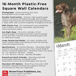 BrownTrout 2025 German Shorthaired Pointers 12