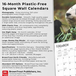 BrownTrout 2025 Giant Pandas 12