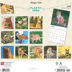 BrownTrout 2025 Ginger Cats 12" x 12" Monthly Wall Calendar (9781975477035) Sale