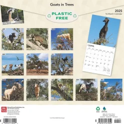 BrownTrout 2025 Goats in Trees 12" x 12" Monthly Square Wall Calendar (9781975477059) Sale