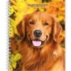 BrownTrout 2025 Golden Retrievers 6" x 7.75" Weekly Engagement Planner, Paper Cover, Multicolored (9781975473150) New