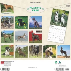 BrownTrout 2025 Great Danes 12" x 12" Monthly Square Wall Calendar (9781975477103)