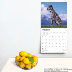 BrownTrout 2025 Great Danes 12