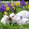 BrownTrout 2025 Honey Bunny 12" x 12" Monthly Wall Calendar (9781975474911)