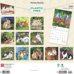 BrownTrout 2025 Honey Bunny 12" x 12" Monthly Wall Calendar (9781975474911)