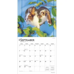 BrownTrout 2025 Honey Bunny 12