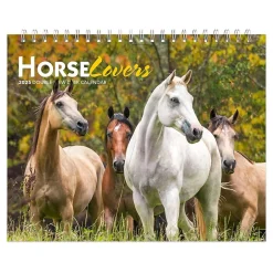 BrownTrout 2025 Horse Lovers 7.5" x 6" Monthly Desk Calendar (9781975478476)