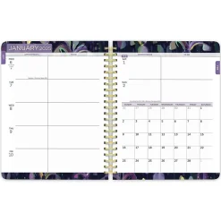 BrownTrout 2025 House of Turnowsky 6