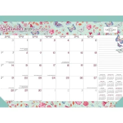 BrownTrout 2025 House of Turnowsky 17