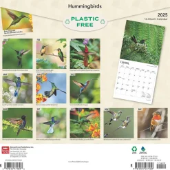 BrownTrout 2025 Hummingbirds 12" x 12" Monthly Wall Calendar (9781975477189) Hot