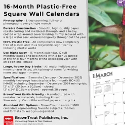 BrownTrout 2025 Hummingbirds 12