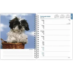 BrownTrout 2025 I Love Puppies 6