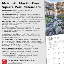 BrownTrout 2025 Iceland 12