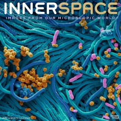 BrownTrout 2025 Innerspace 12" x 12" Monthly Square Wall Calendar (9781975481438) Best