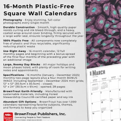 BrownTrout 2025 Innerspace 12