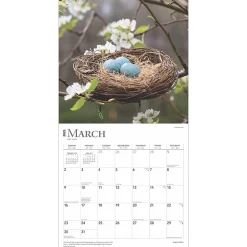 BrownTrout 2025 Inspiration 12