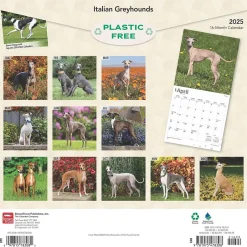 BrownTrout 2025 Italian Greyhounds 12" x 12" Monthly Wall Calendar (9781975478308) Clearance