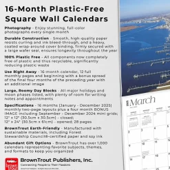 BrownTrout 2025 Jersey Shore 12