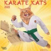 BrownTrout 2025 Karate Cats 7" x 14" Monthly Mini Wall Calendar, (9781975479541) New