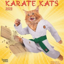 BrownTrout 2025 Karate Cats 7" x 14" Monthly Mini Wall Calendar, (9781975479541) New