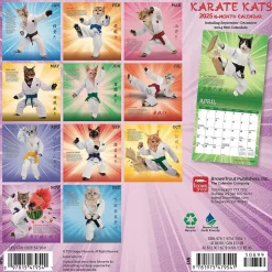 BrownTrout 2025 Karate Cats 7" x 14" Monthly Mini Wall Calendar, (9781975479541) New