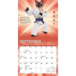 BrownTrout 2025 Karate Cats 7