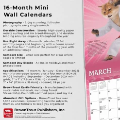 BrownTrout 2025 Karate Cats 7