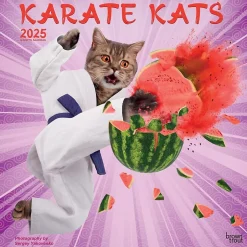BrownTrout 2025 Karate Cats 12" x 24" Monthly Square Wall Calendar, (9781975479831) Online