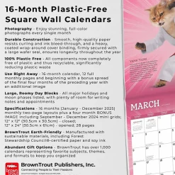 BrownTrout 2025 Karate Cats 12